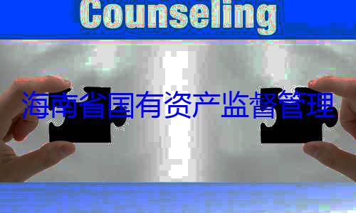 委副书记王查调查有福接受审理委员会党资产监督管海南省国有